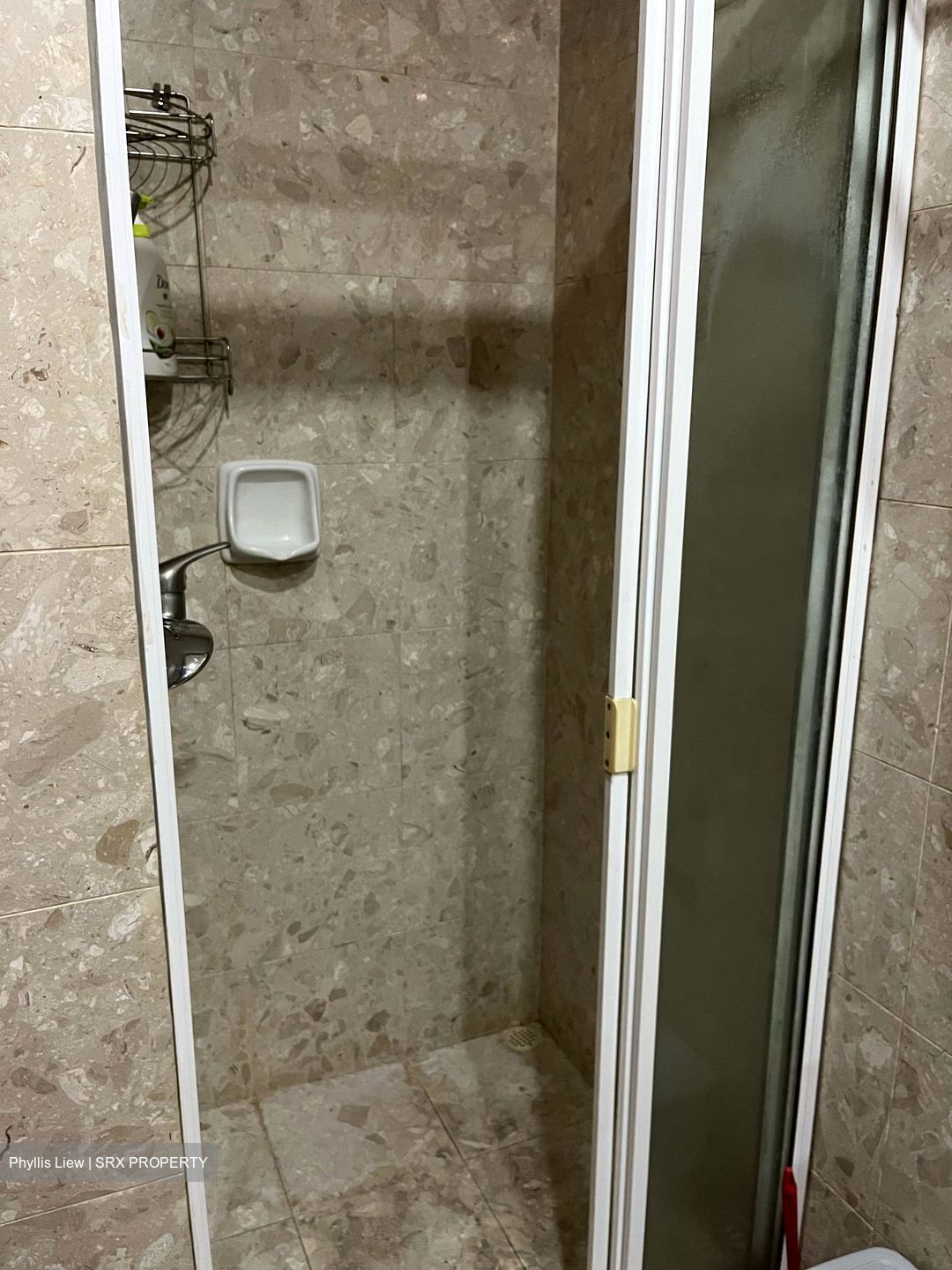 Sunrise Gardens (D28), Condominium #567975641